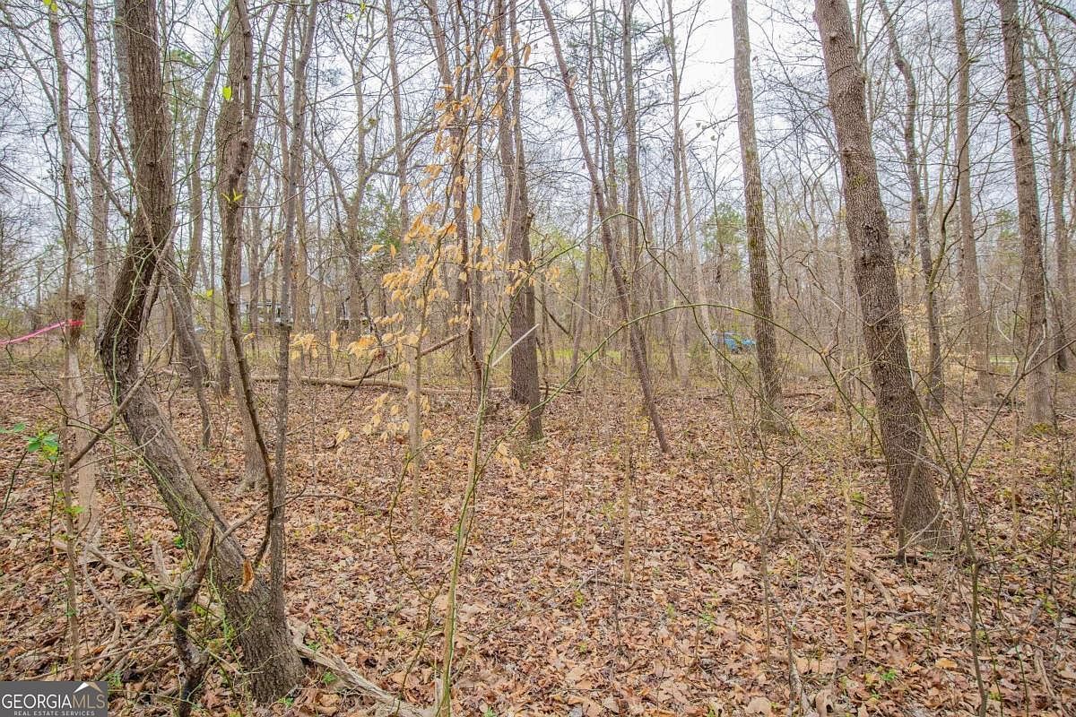 0 Arrowhead Court Mohawk Trl Lavonia, GA 30553  | Land/Lot