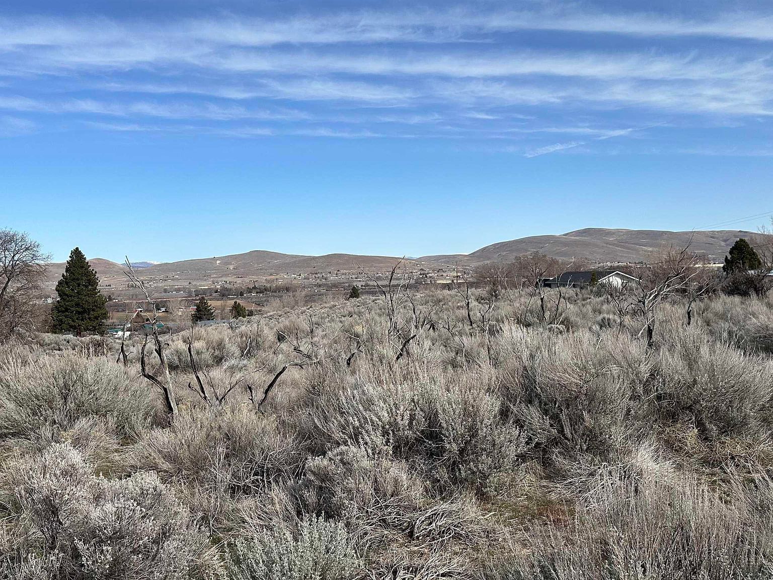 462-950 Jace Dr Janesville, CA 96114  | Land/Lot