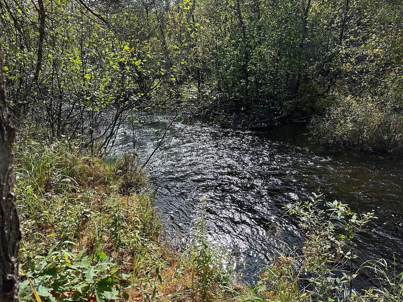 10297 Rocky Run Rd Harshaw, WI 54529  | Land/Lot