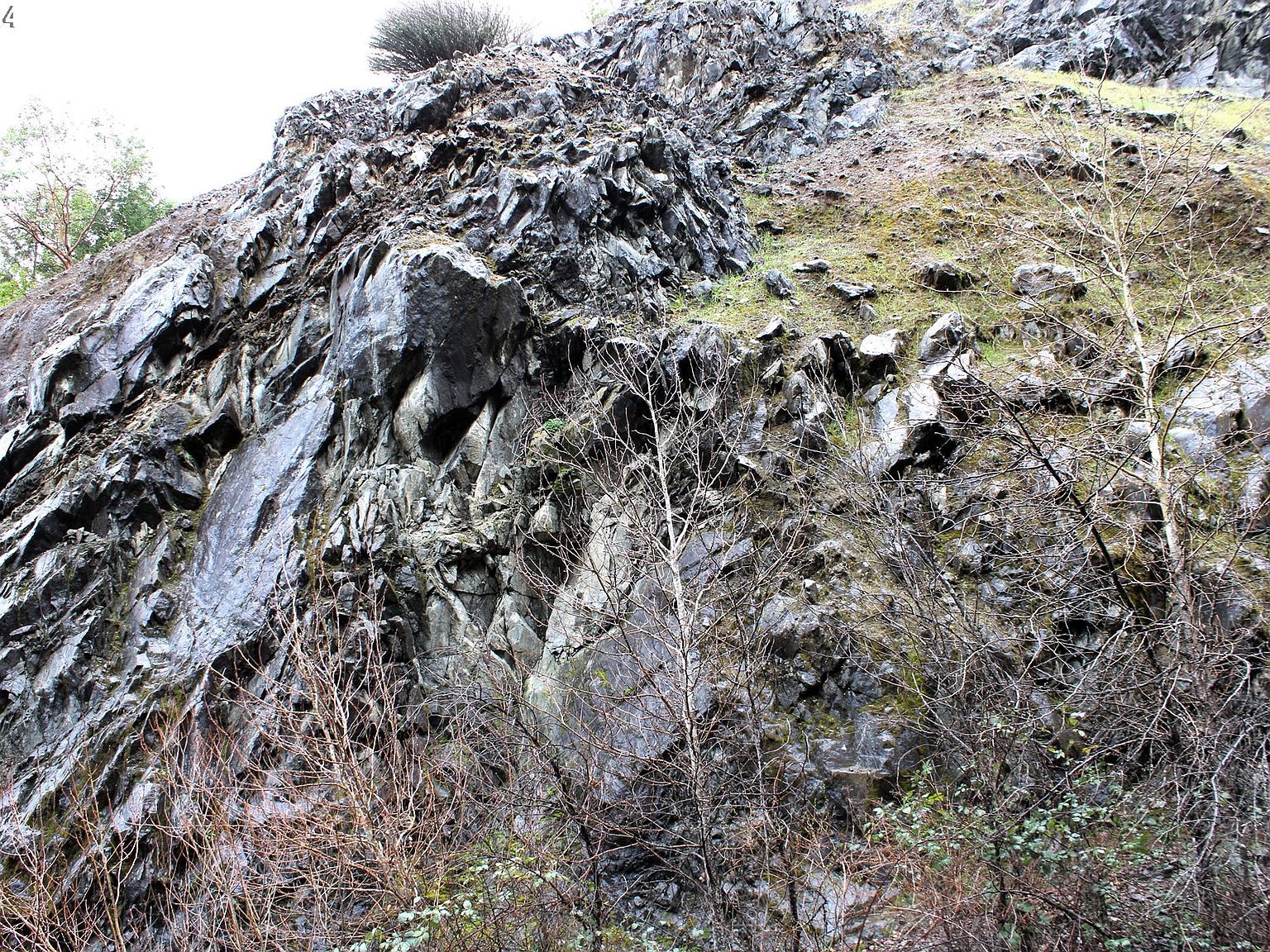 0 Horizon Ln Myrtle Creek, OR 97457  | Land/Lot