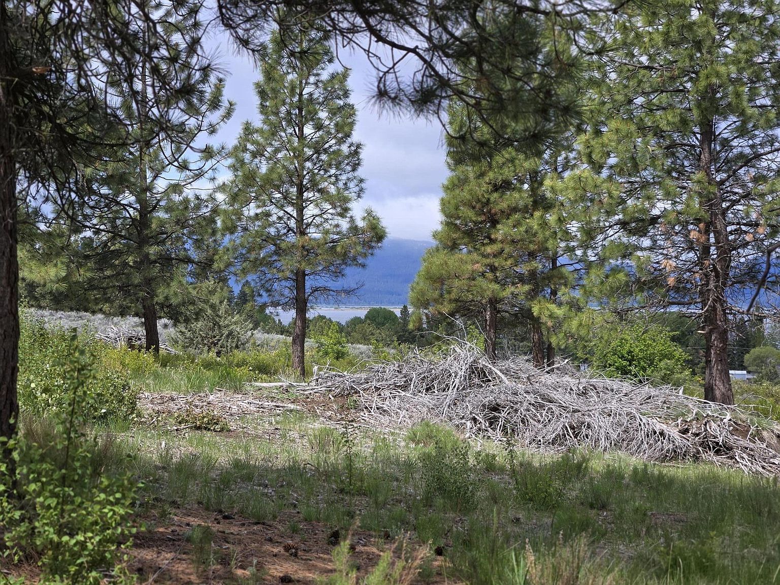 Ranch Rd LOT 17 Chiloquin, OR 97624  | Land/Lot