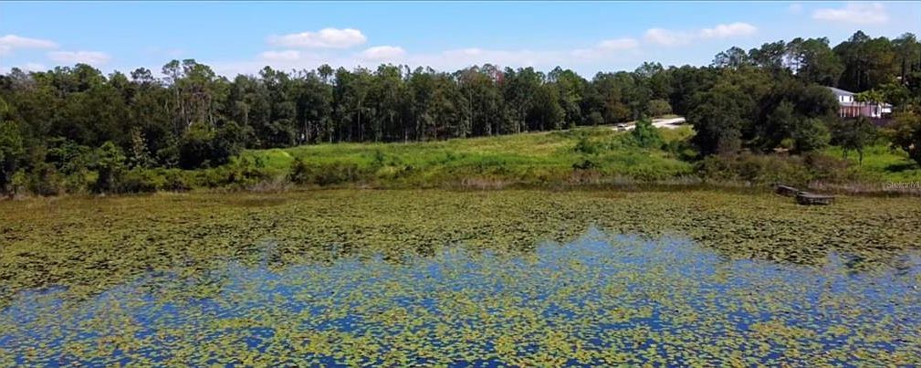 15655 Willo Pines Ln Montverde, FL 34756  | Land/Lot