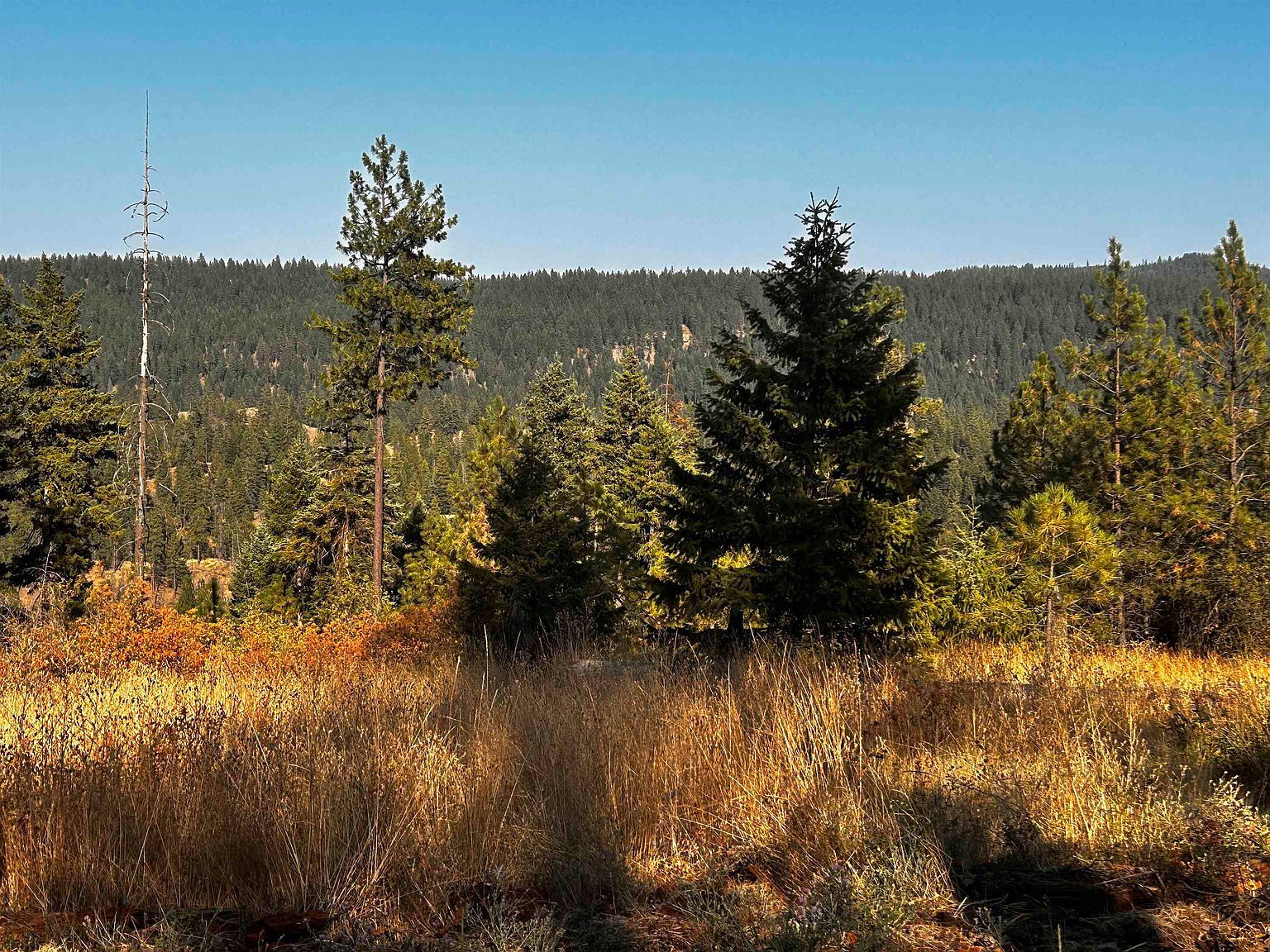 0 Horseshoe Lake Rd Deer Park, WA 99006 | Land/Lot