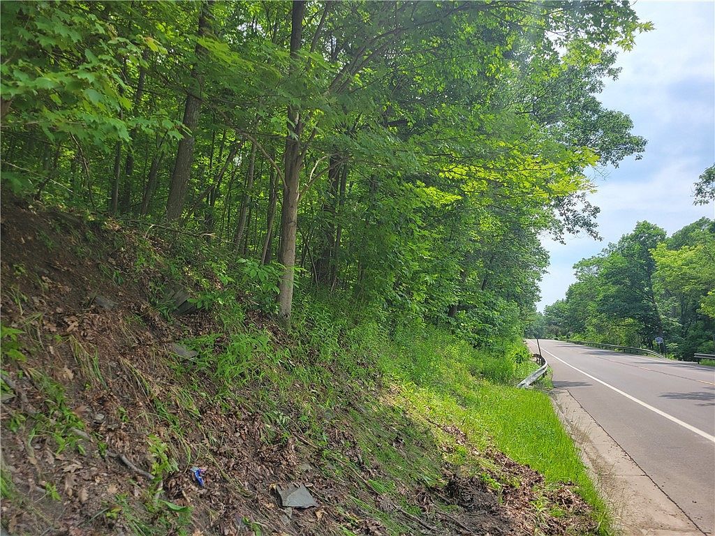 0 State Route 54 Hwy #52 Hammondsport, NY 14840  | Land/Lot
