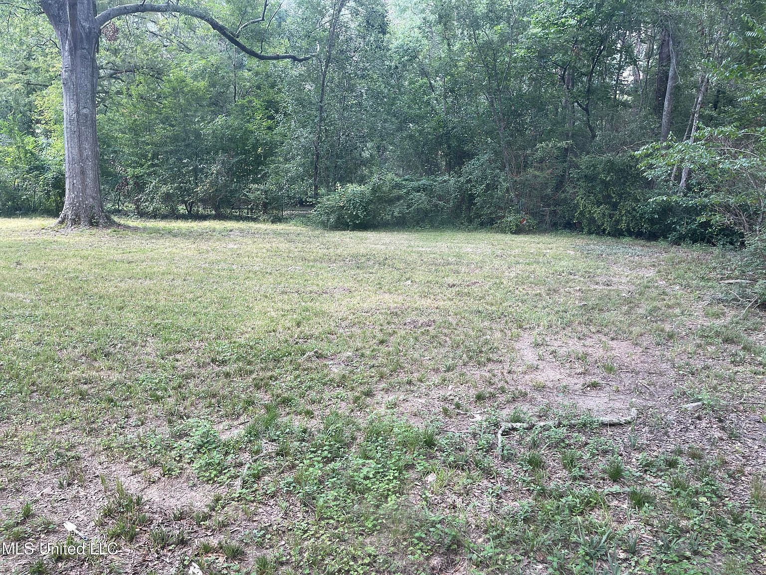 220 Wildwood Ter Jackson, MS 39212  | Single Family