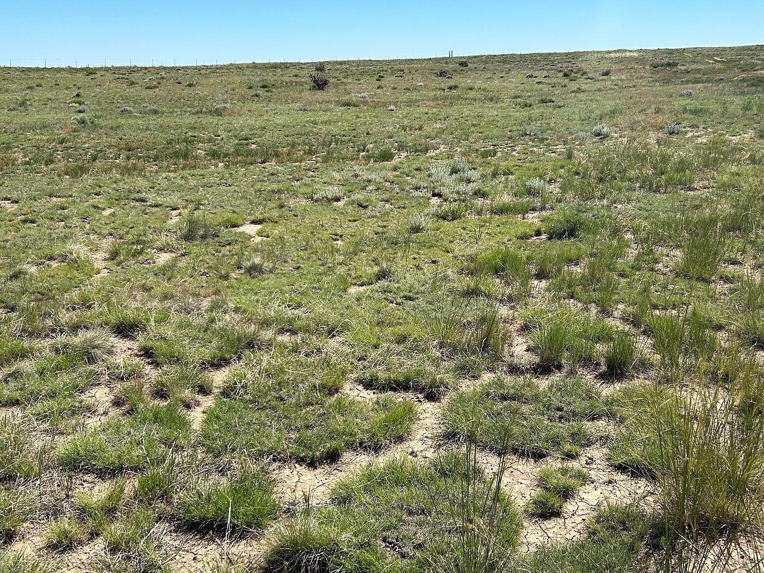 284 Black Hills Rd #2 Walsenburg, CO 81089  | Land/Lot