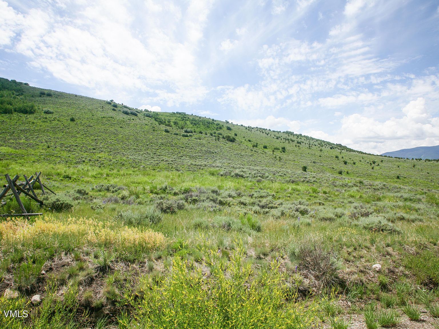 3566 Territory Trl Edwards, CO 81632 | Land/Lot