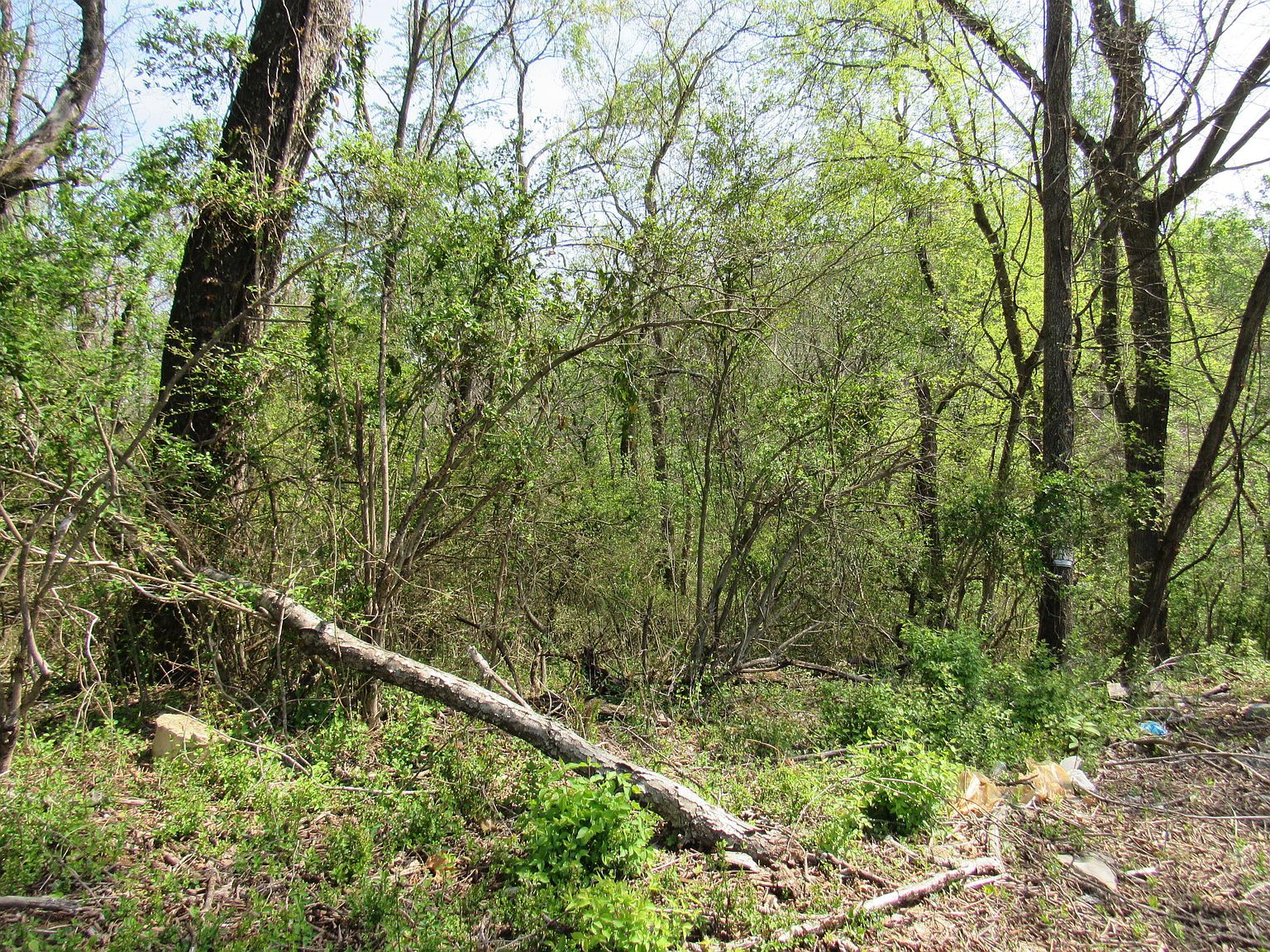 3501 Mellon St Kingsport, TN 37660  | Land/Lot