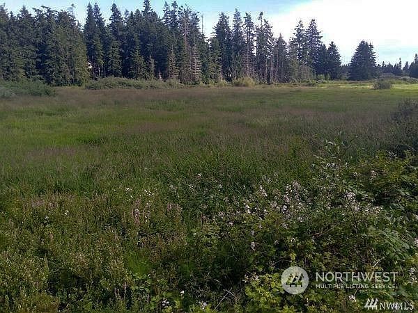 0 Camano Rdg Camano Island, WA 98282  | Land/Lot