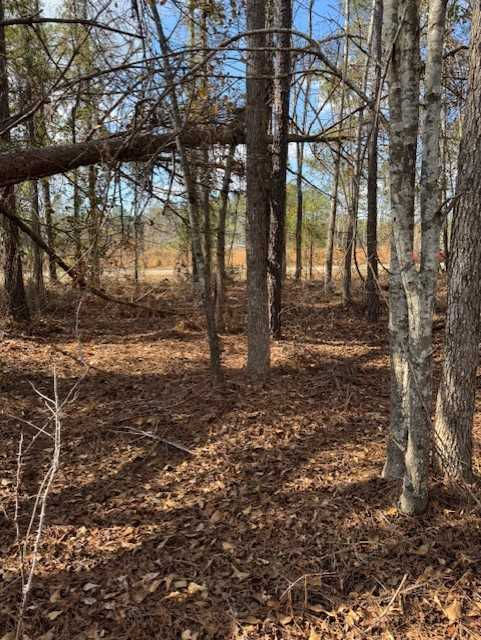 101 Antlers Trail, Hephzibah, GA, USA, 30815  | Land/Lot