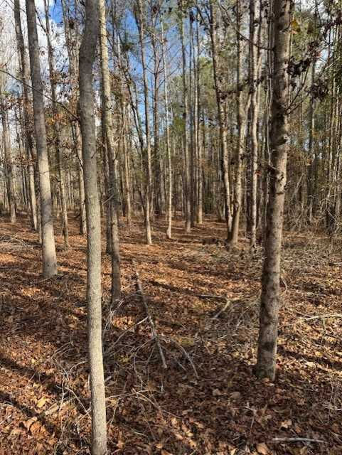 103 Antlers Trail, Hephzibah, GA, USA, 30815  | Land/Lot