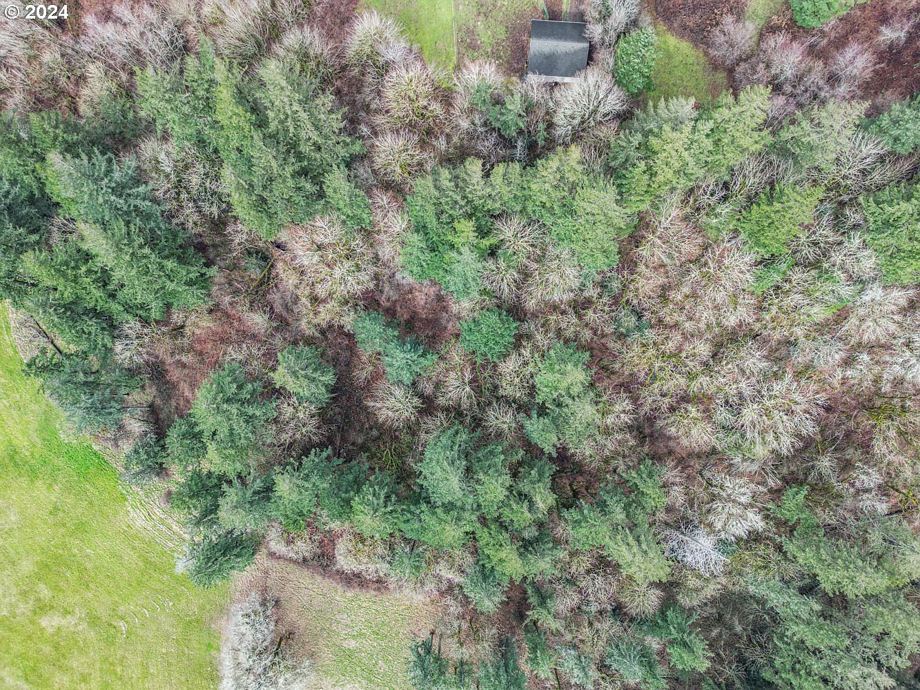 0 57th St Washougal, WA 98671  | Land/Lot