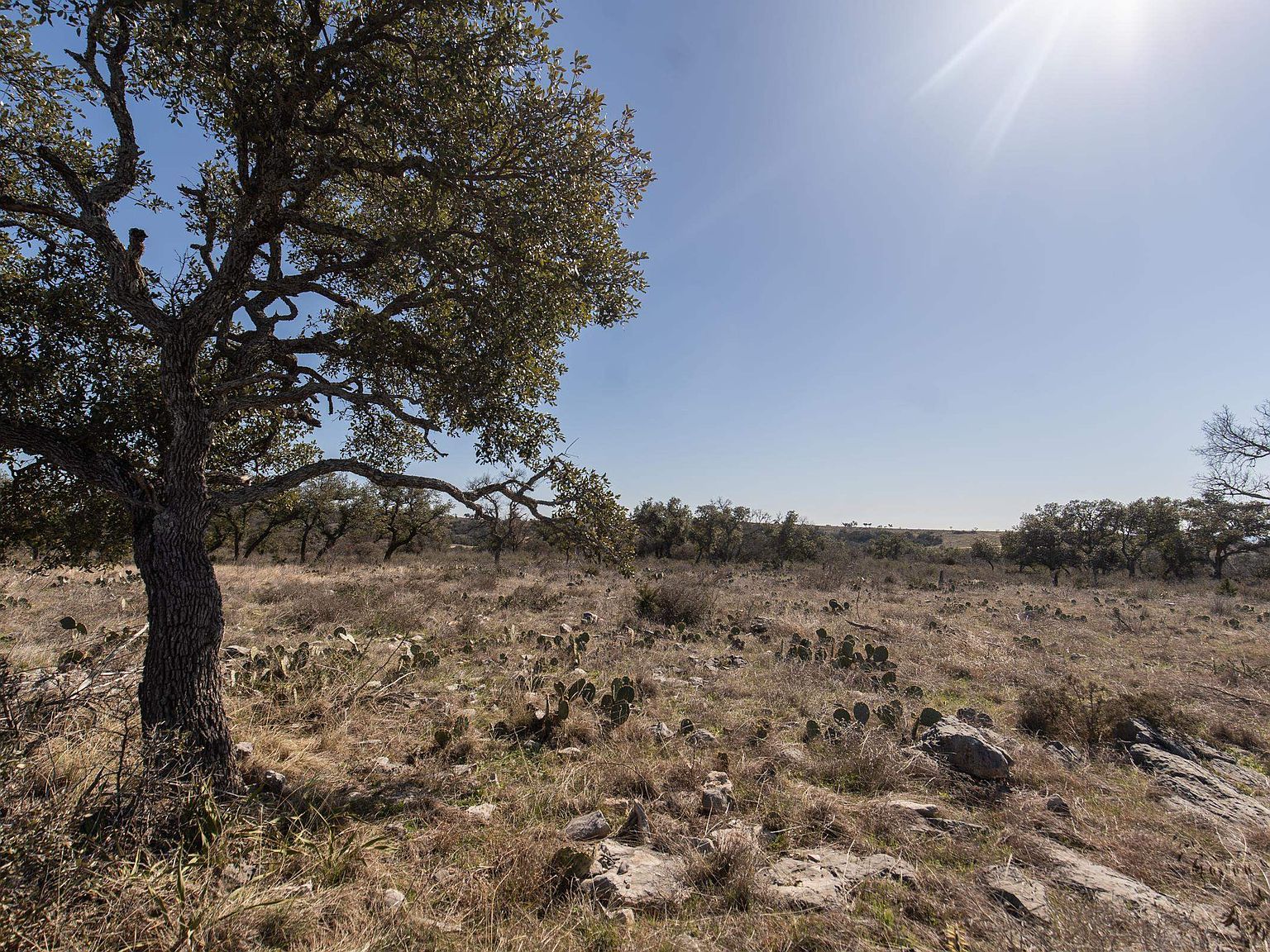 LOT 82 Big Creek Dr Kingsland, TX 78639  | Land/Lot