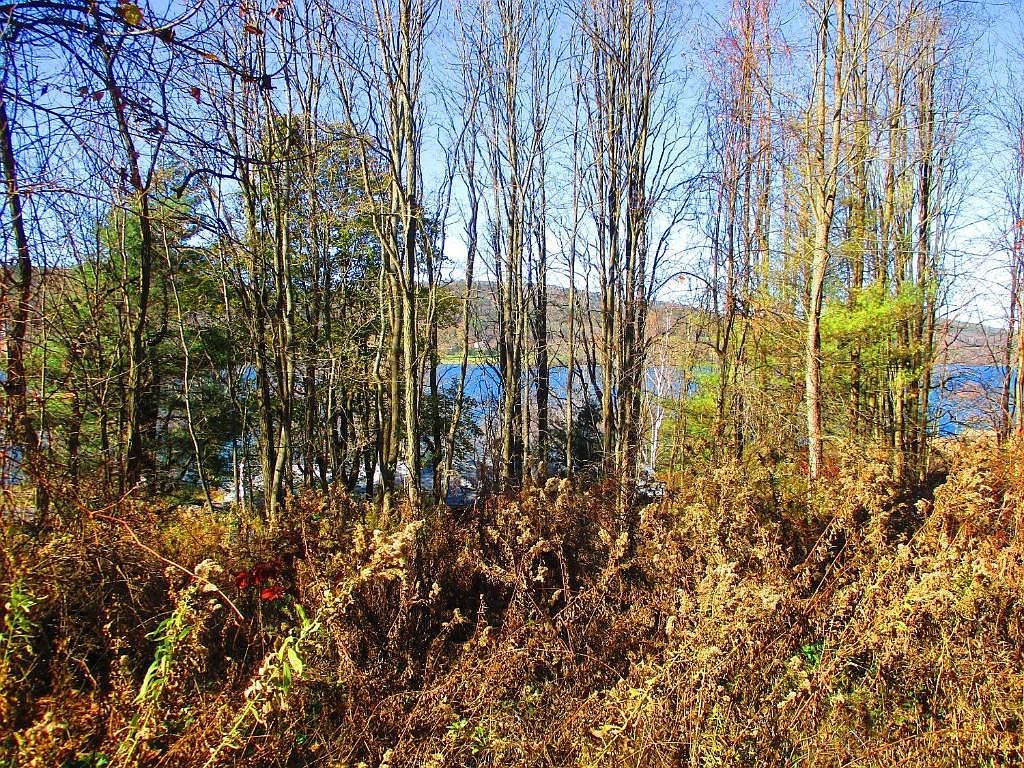 0 County Highway 31 Cooperstown, NY 13326  | Land/Lot