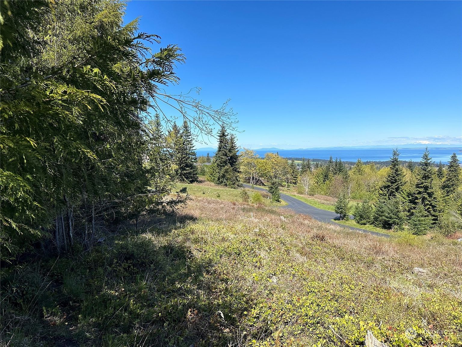 15 High View Way Sequim, WA 98382  | Land/Lot