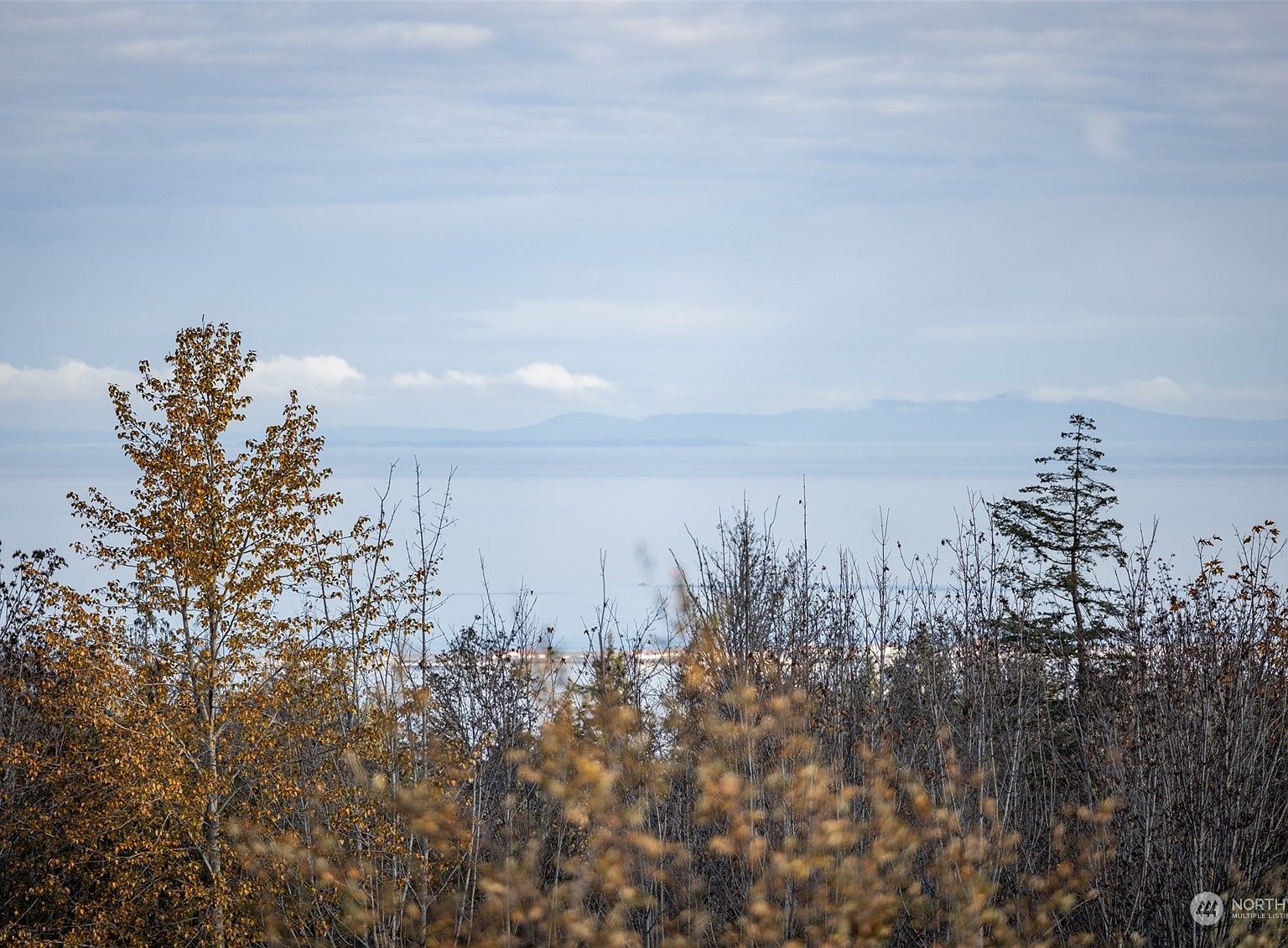 999 Ediz View Dr Pt Angeles, WA 98363  | Land/Lot