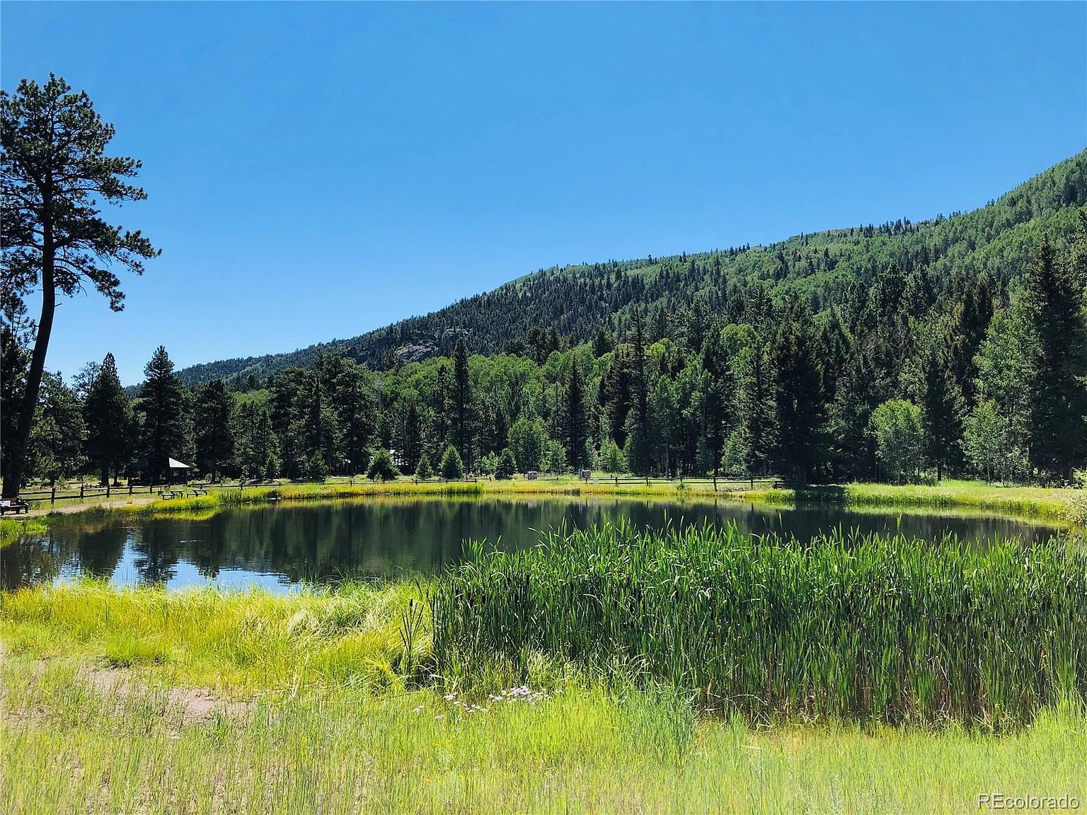 133 Canyon View Dr LOT 133 Antonito, CO 81120  | Land/Lot