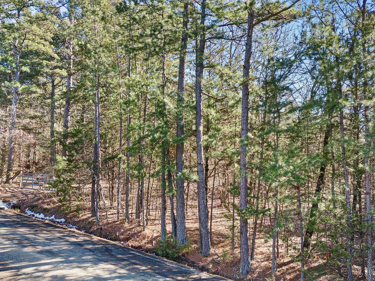1505 Tucker Mountain Rd Dover, AR 72837 | Land/Lot
