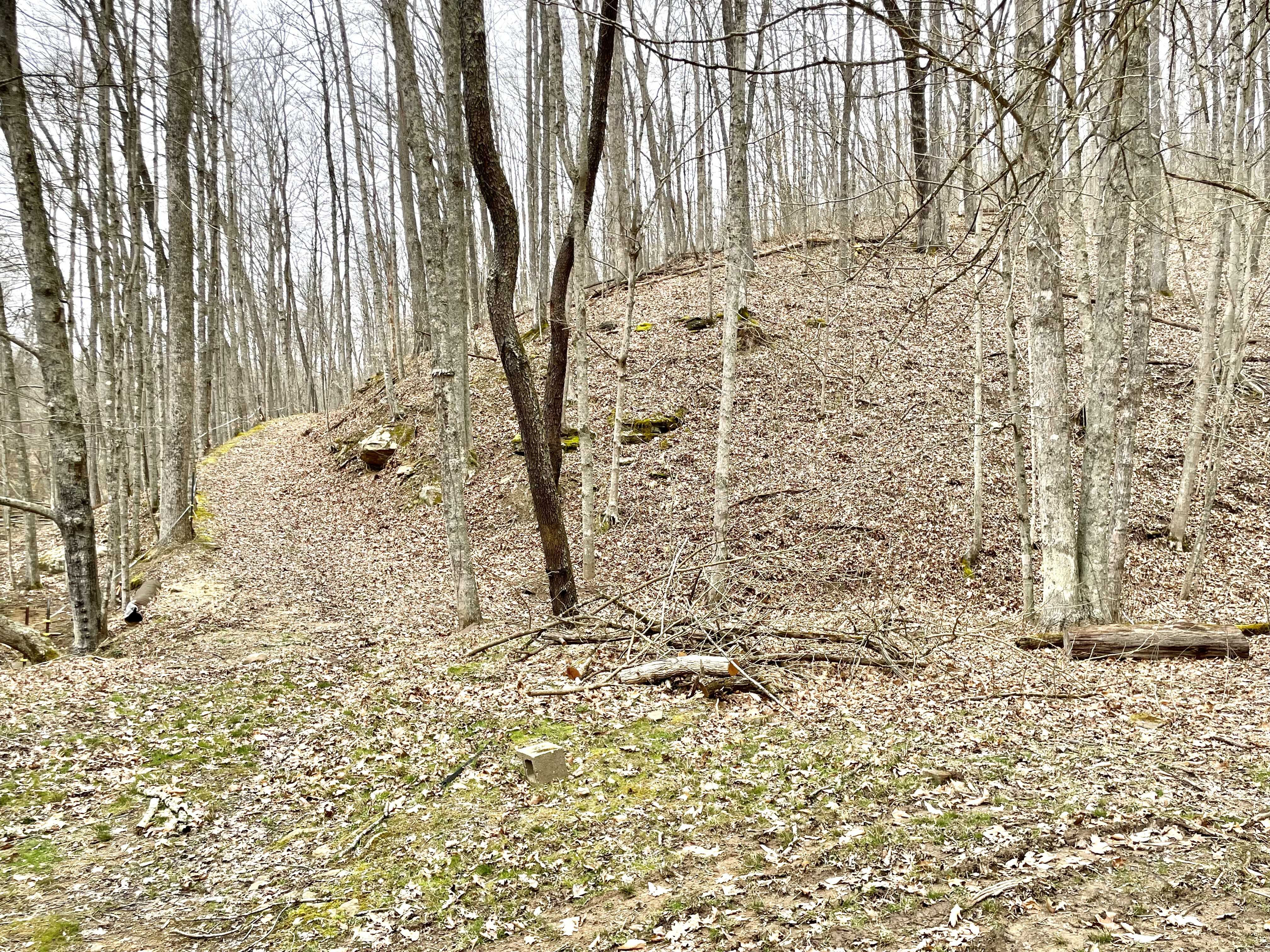 512 Walters Run Road, West Union, WV, 26456  | Single Family