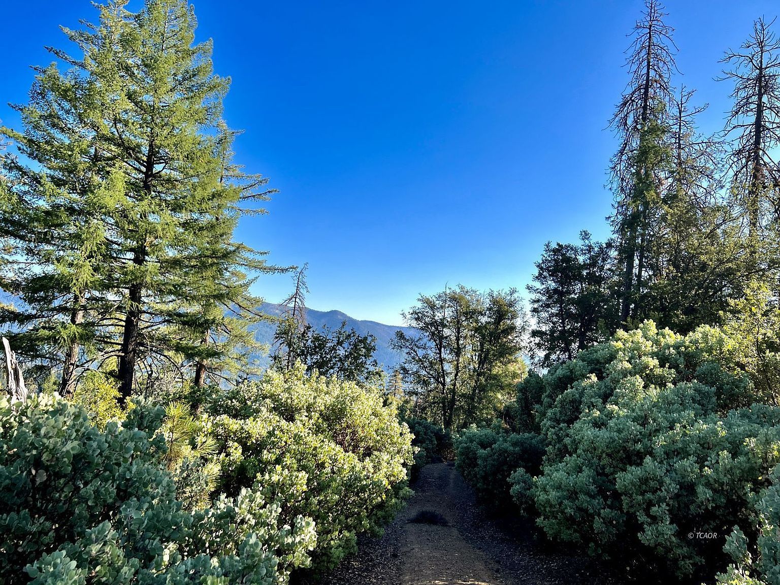 761 Fulton Gulch Rd Hayfork, CA 96041  | Land/Lot