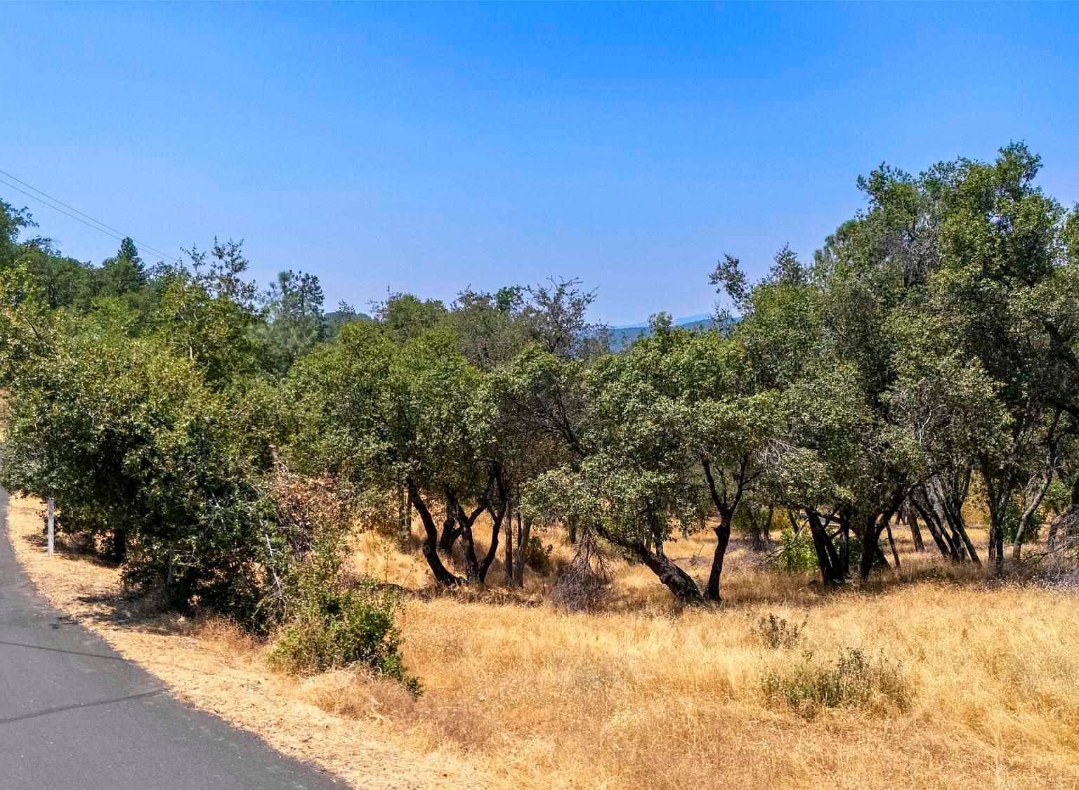 16400 Crestridge Ave Sonora, CA 95370  | Land/Lot