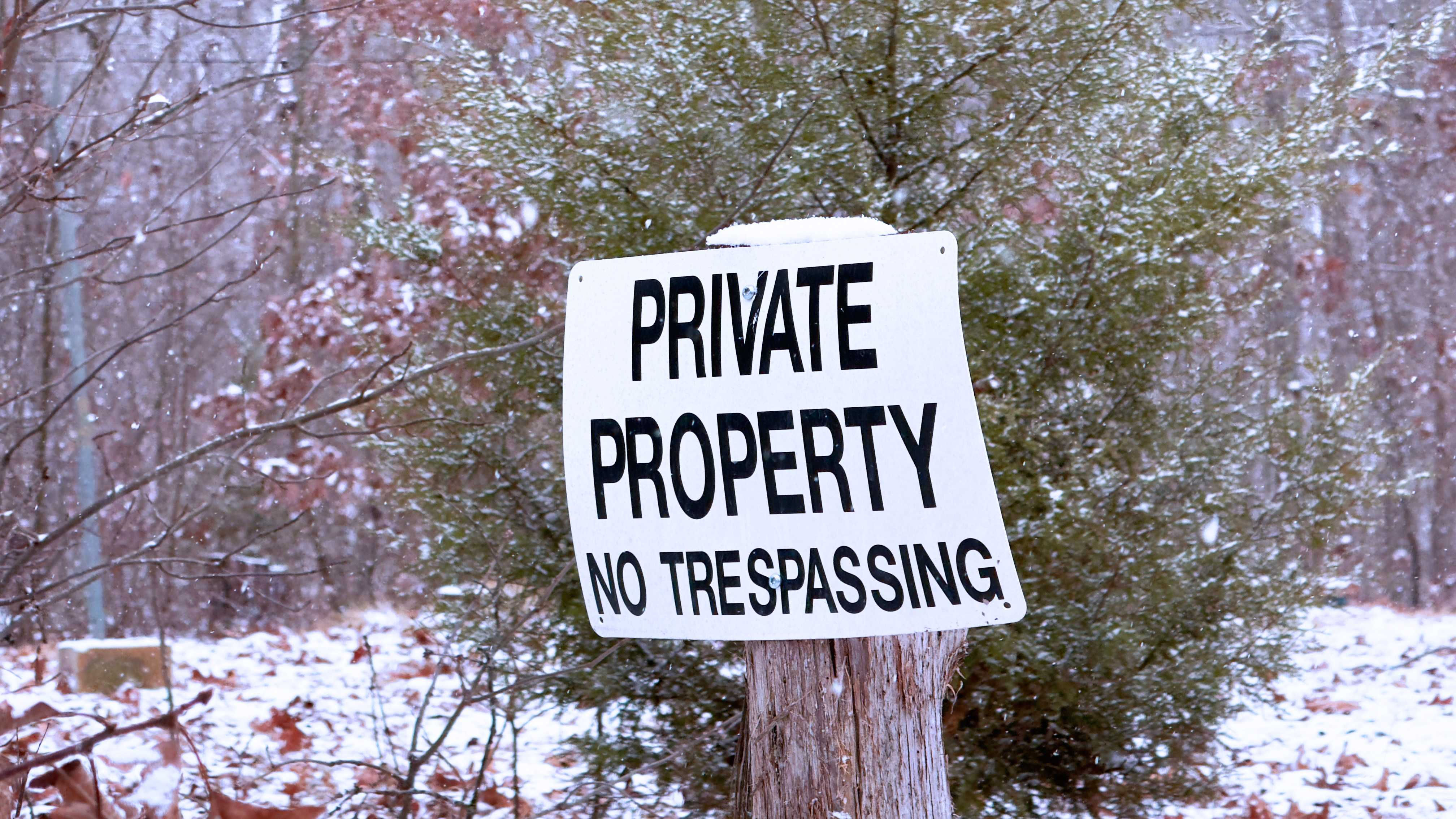 Foxtrot Road, Cadet, MO, 63630 - Thumbnail 3