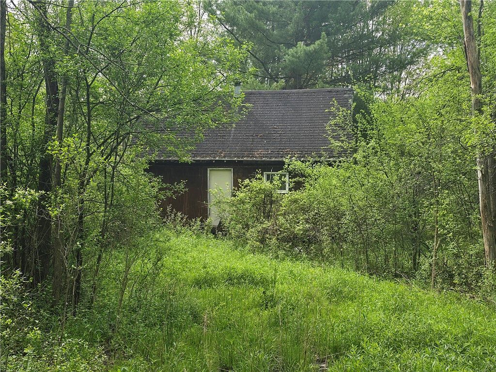 0 Ruttin Rd, Scio, NY, 14880 | Land/Lot