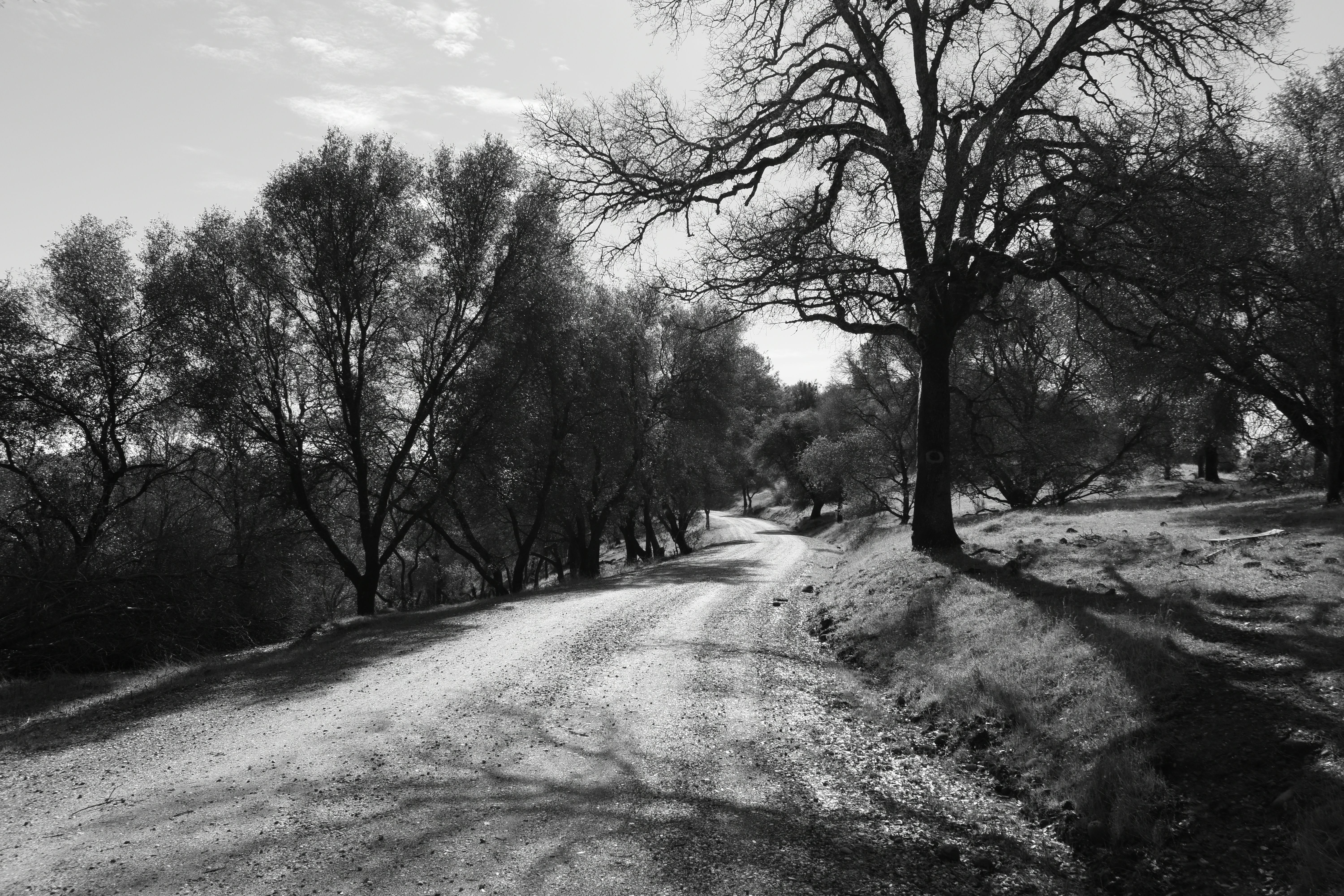 5 Dutch Flat Trail, Smartsville, CA, USA, 95977  | Land/Lot