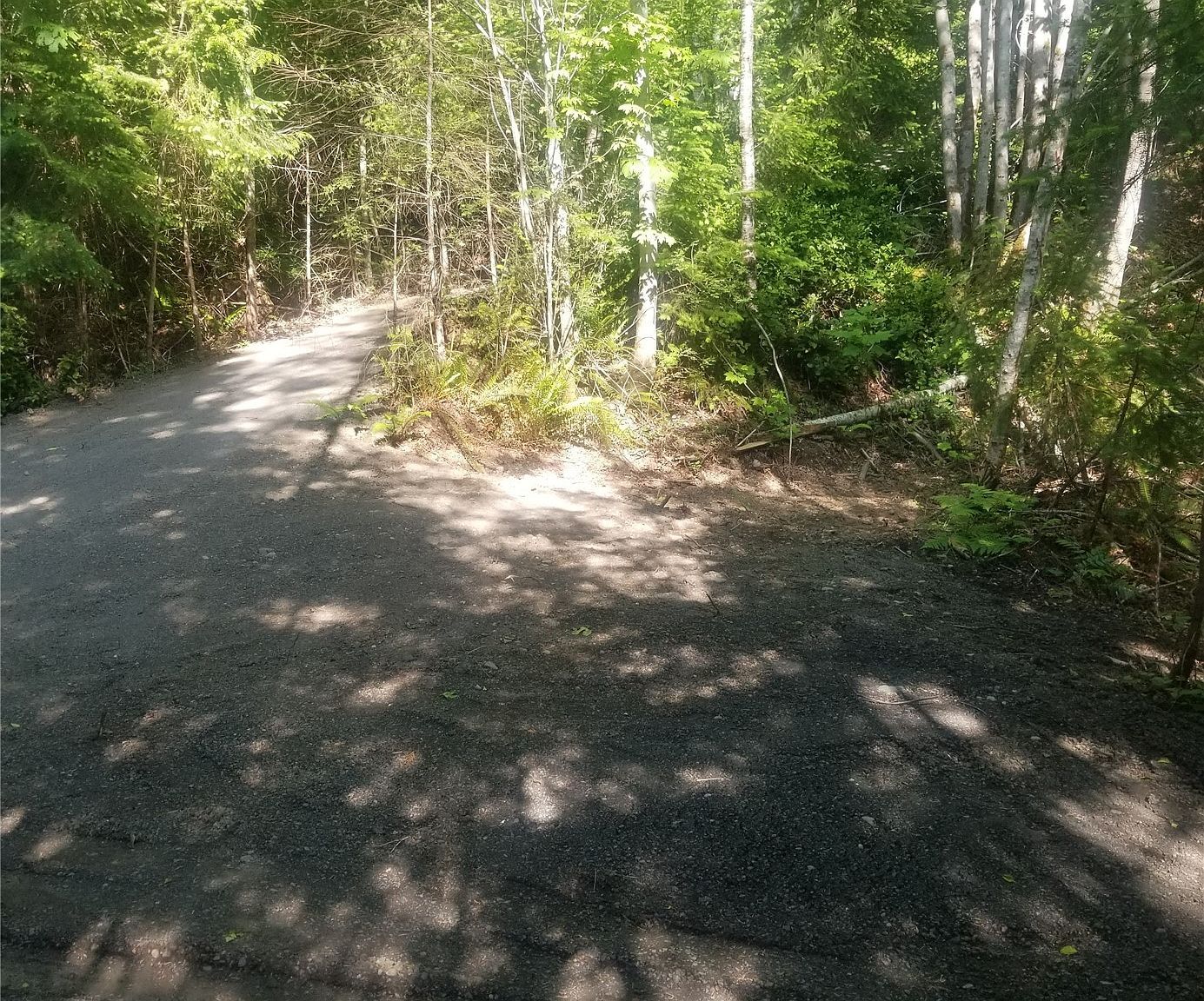 0 E Quilcene Rd Quilcene, WA 98376  | Land/Lot