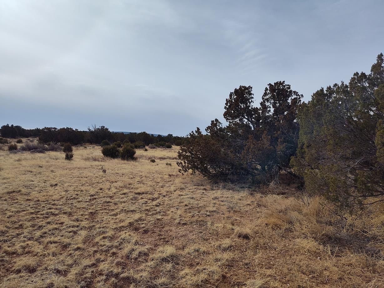 7th St E Mountainair, NM 87036 | Land/Lot