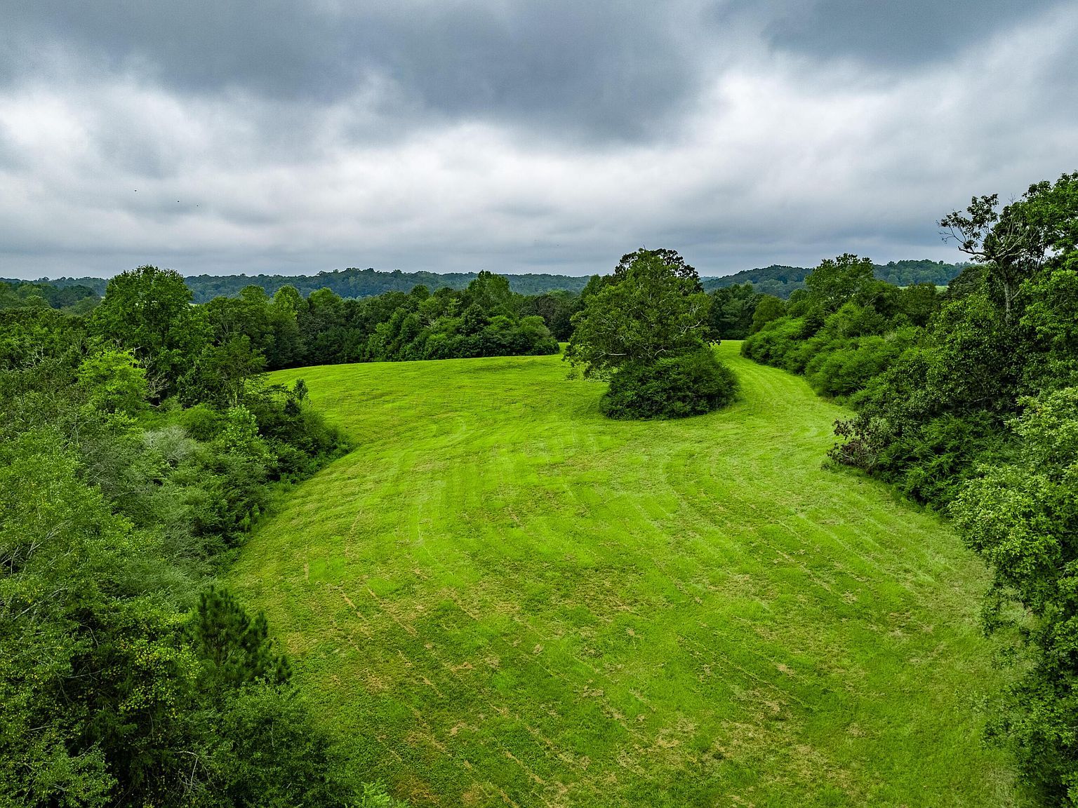 0 County Road 52 Arley, AL 35541  | Land/Lot