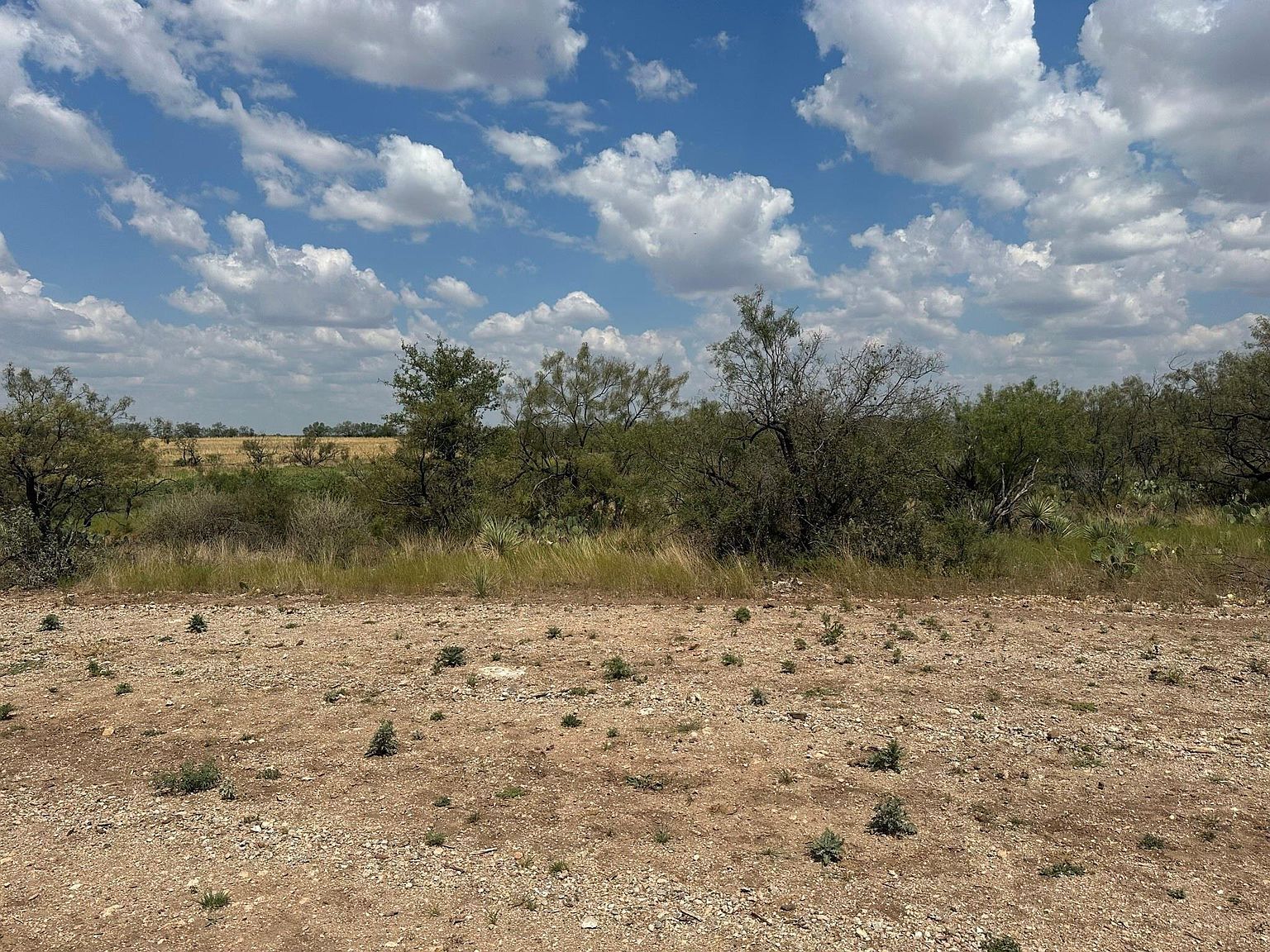 3255 County Road 340 Lohn, TX 76852  | Land/Lot