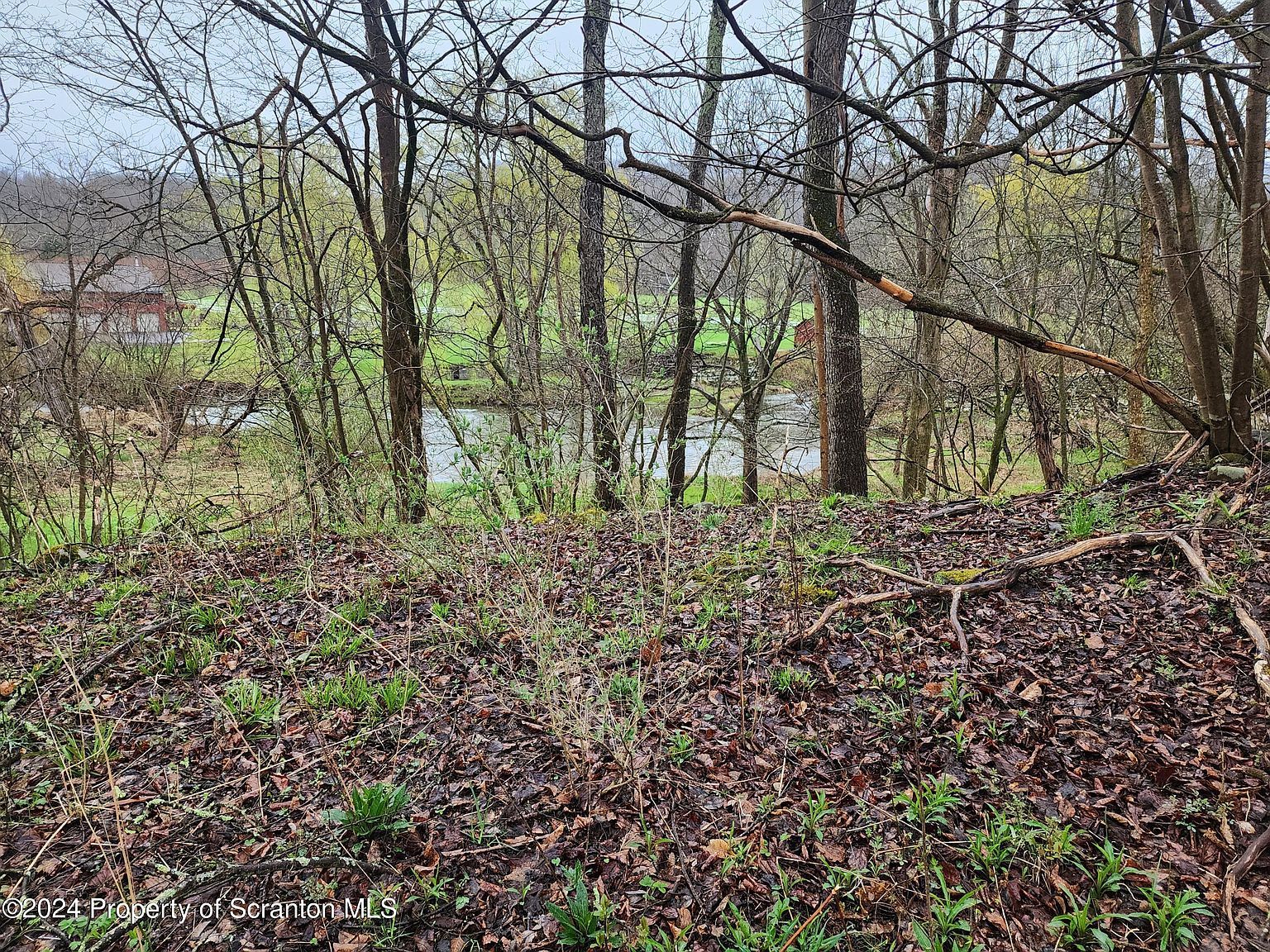 12646 State Route 92 South Gibson, PA 18842 | Land/Lot