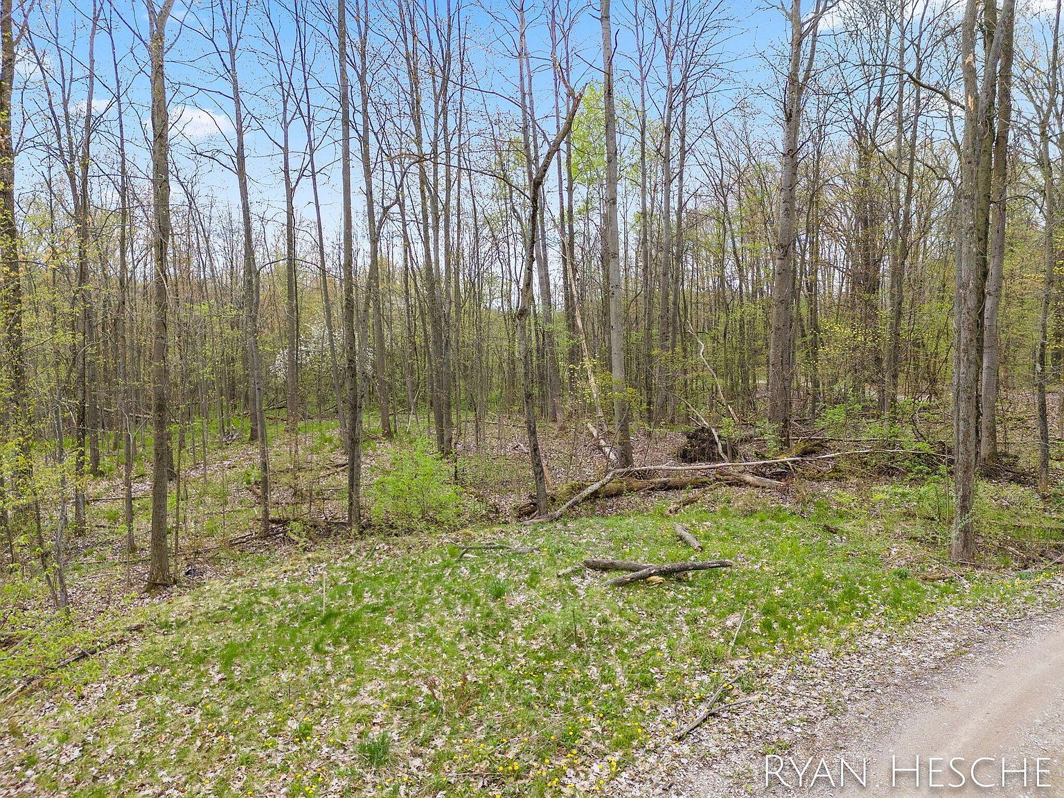 12543 Woodland Park Dr NE Belding, MI 48809 | Land/Lot