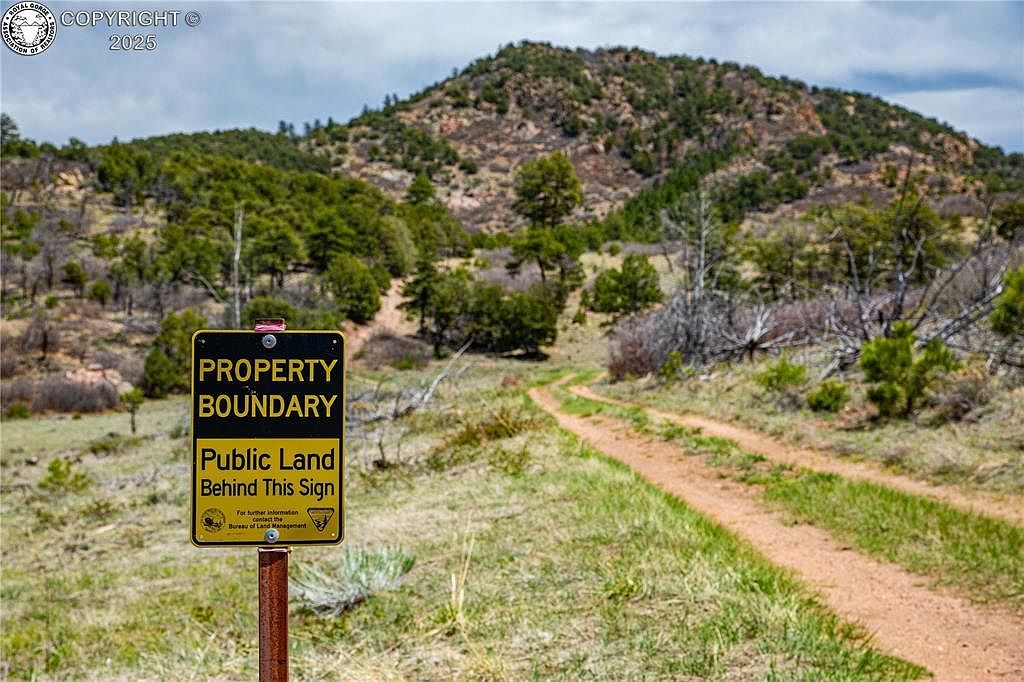 221 Cottonwood Dr Cotopaxi, CO 81223  | Land/Lot