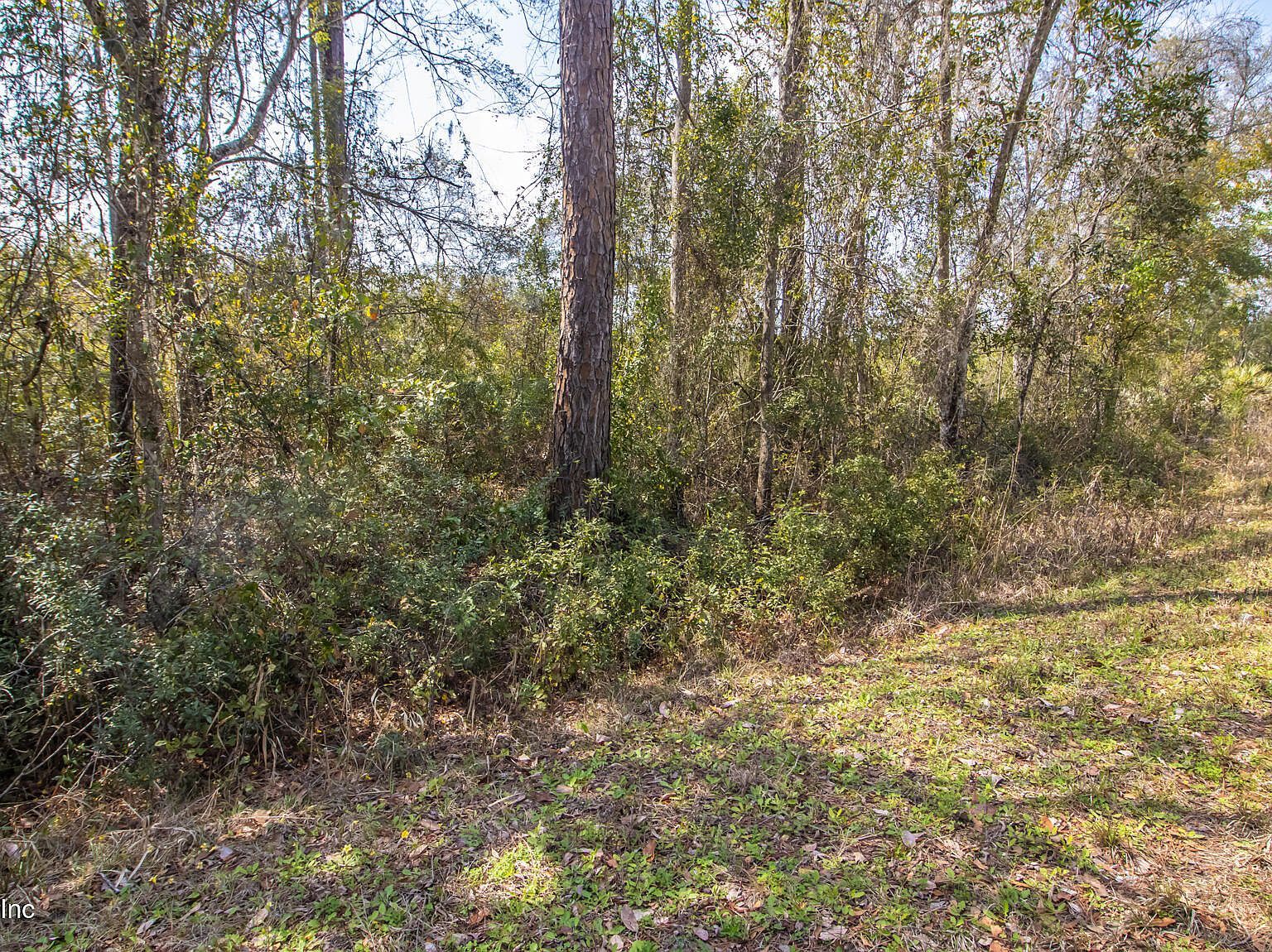 647 & 649 E Hillsborough Ave Florahome, FL 32140  | Land/Lot