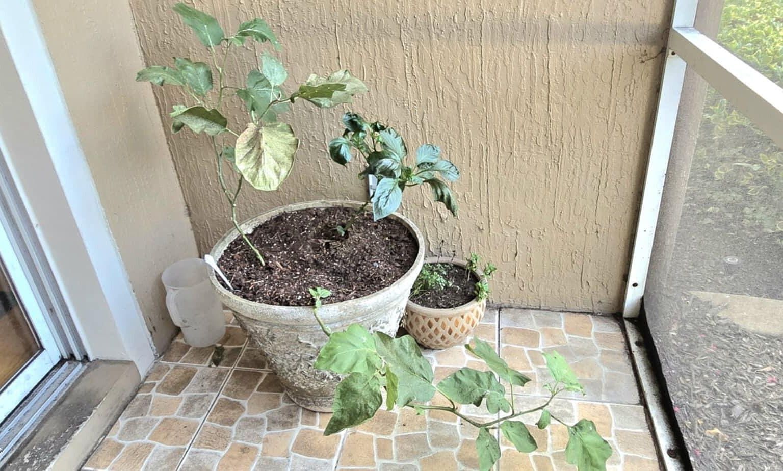 7990 Baymeadows Rd E UNIT 416 Jacksonville, FL 32256  | Condominium