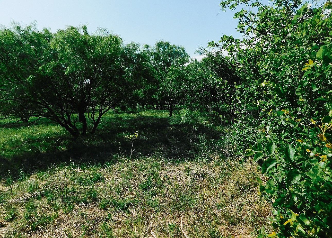 LOT 6 Morris Sheppard Dr Brownwood, TX 76801  | Land/Lot