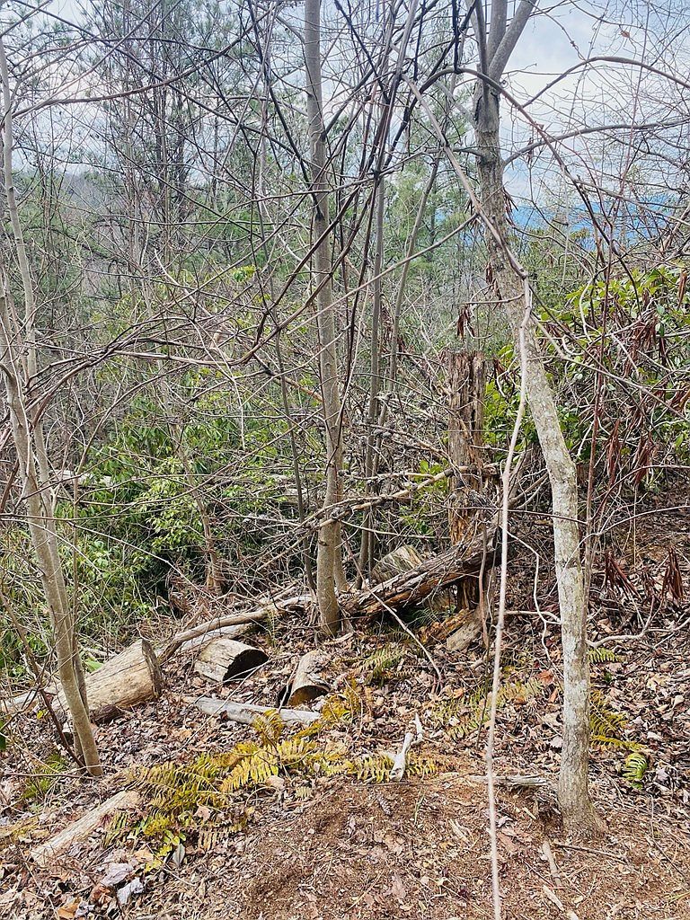 LOT 46 Ridge View Dr Andrews, NC 28901 | Land/Lot