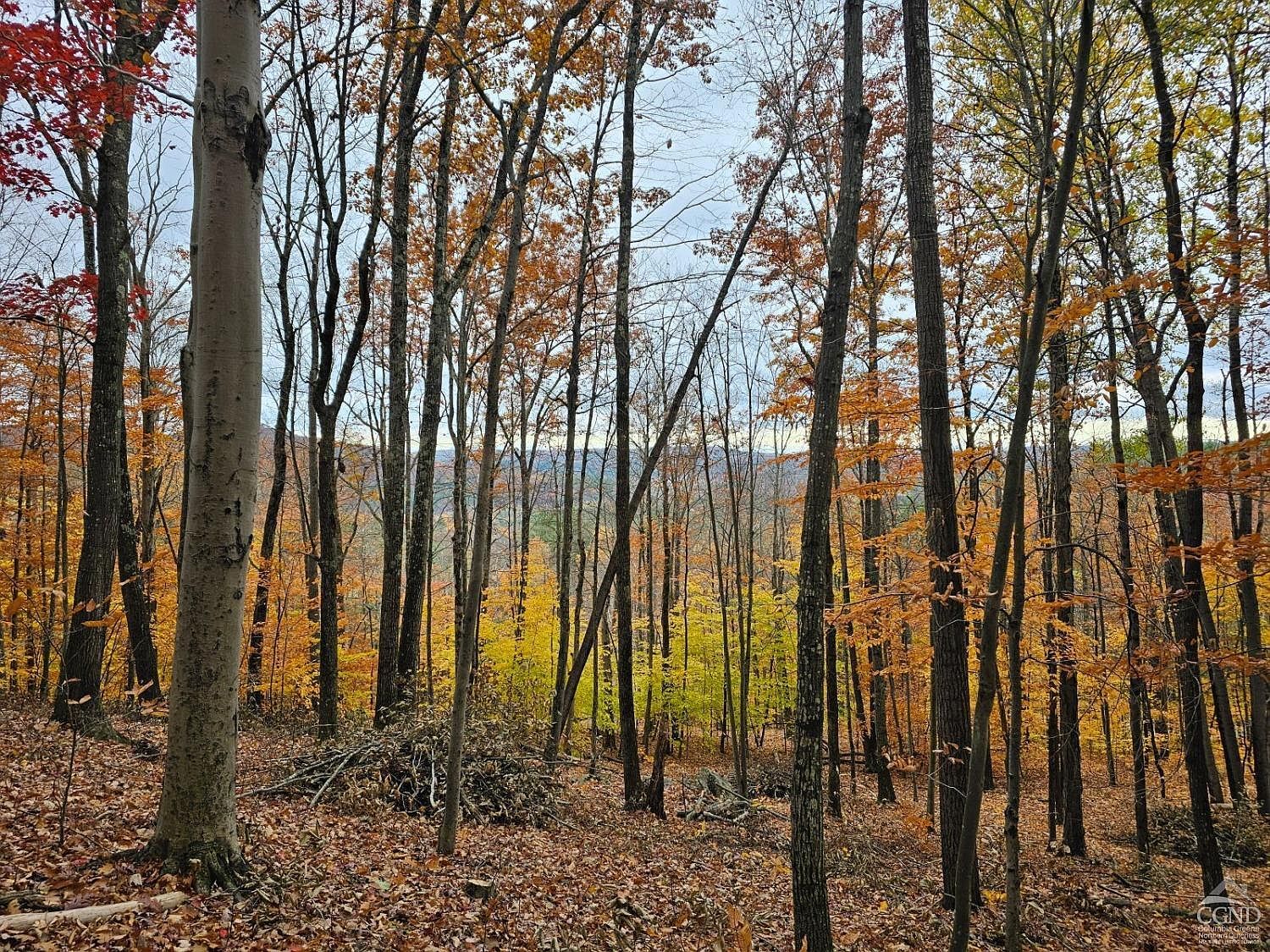 189 Covenant Cir East Nassau, NY 12062  | Land/Lot