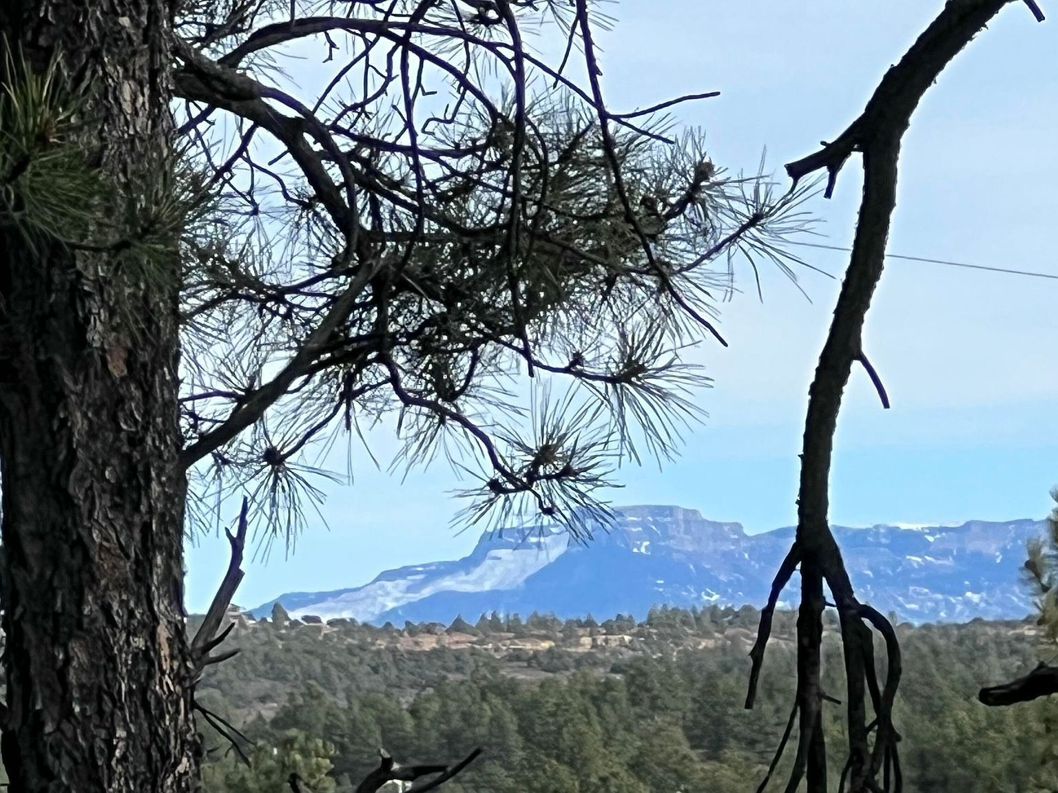 20127 Blue Jay Ln #114 Weston, CO 81091  | Land/Lot