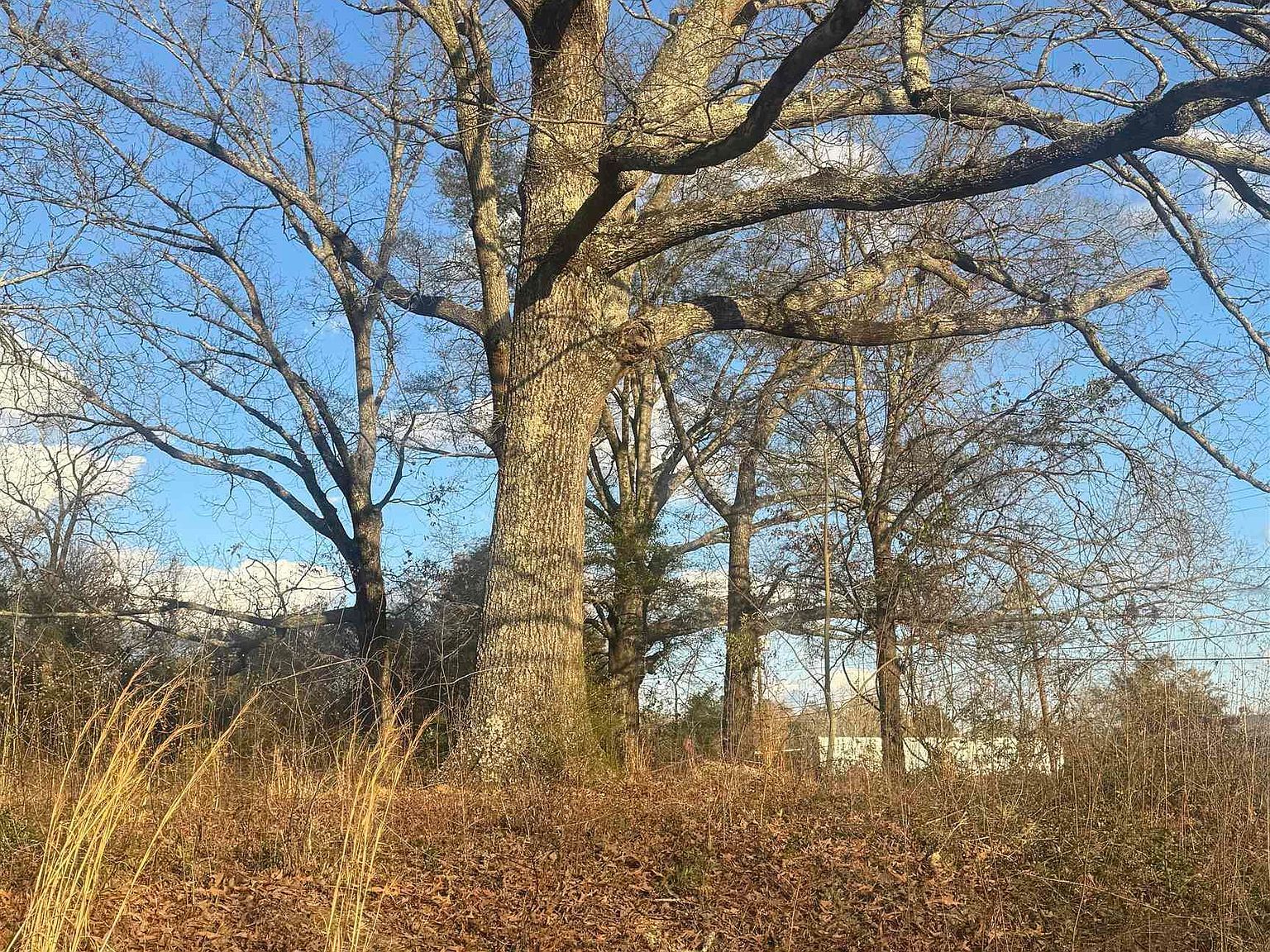 1508 S Alabama Ave #40-41 Monroeville, AL 36460 | Land/Lot