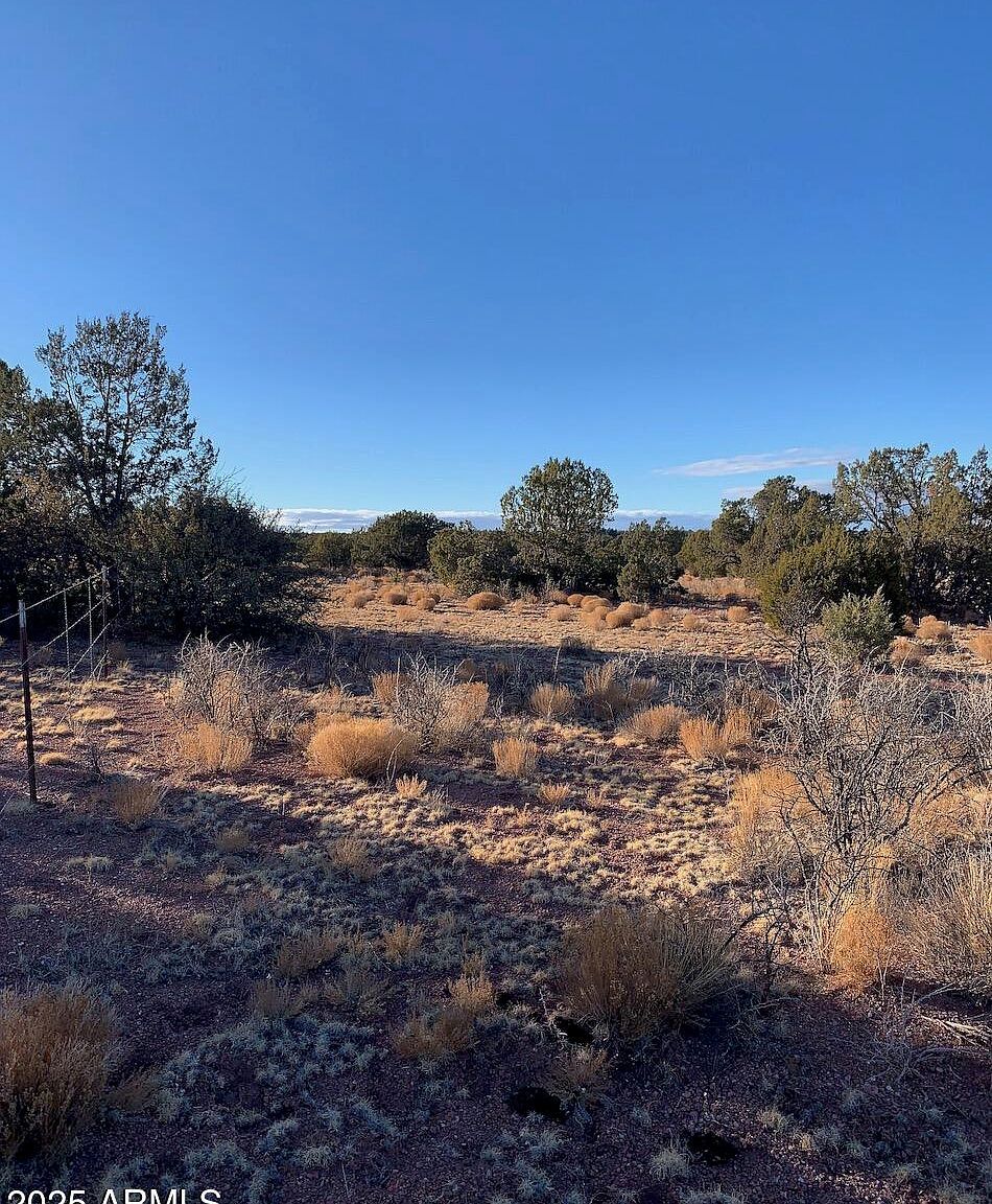 440 N Antelope Dr #440 Seligman, AZ 86337 | Land/Lot
