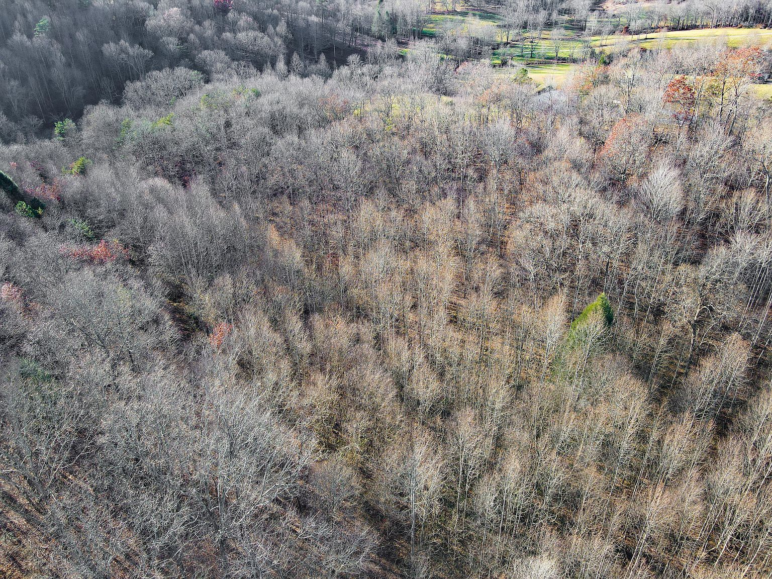 9999 Sid Harville Rd London, KY 40744 | Land/Lot