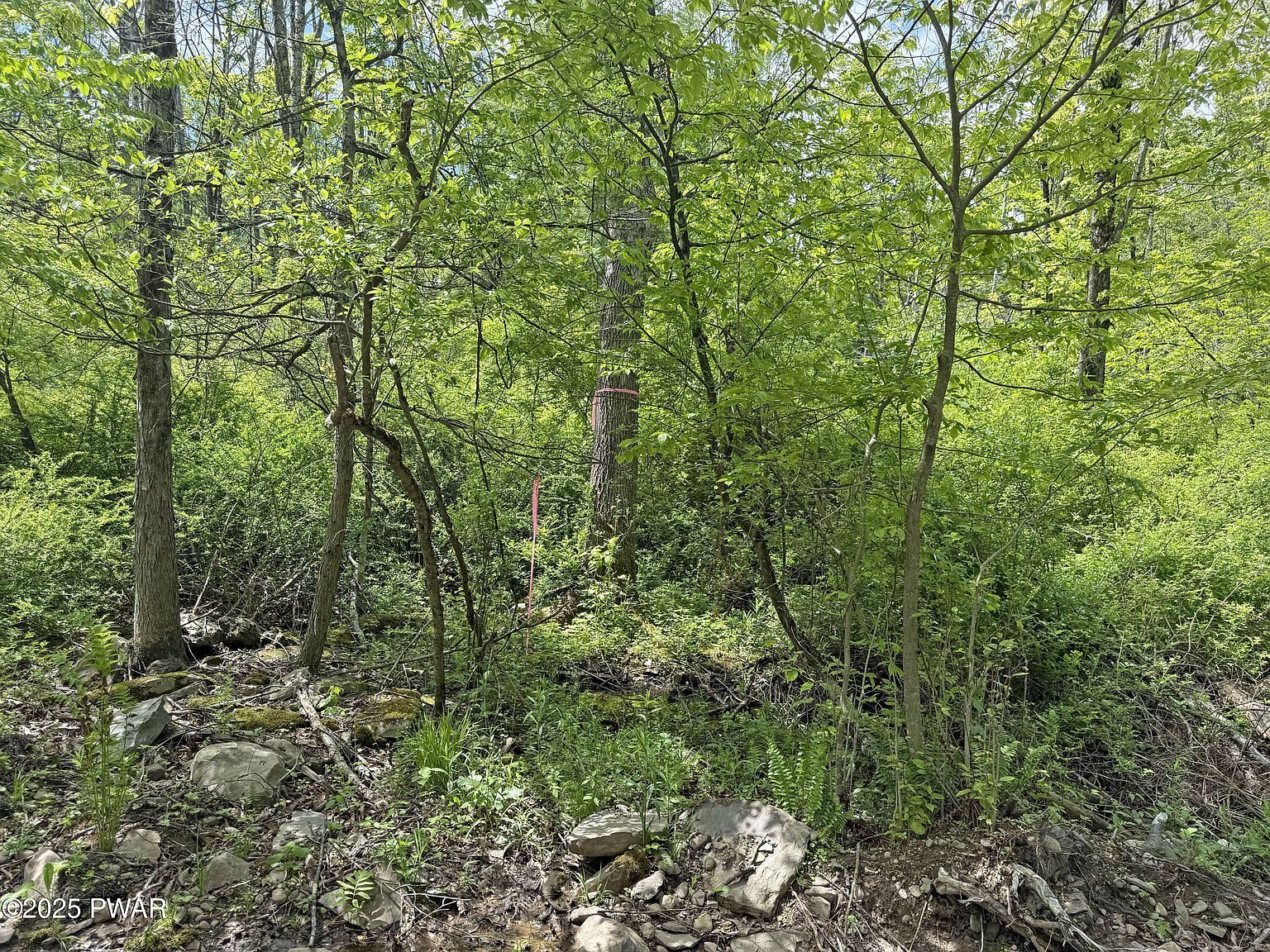 56-63 Wellington Dr, Newfoundland, PA, 18445 | Land/Lot