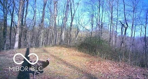 0 Legendary Dr Martinsville, IN 46151  | Land/Lot