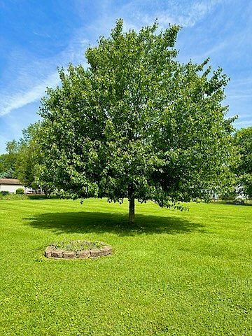 202 Stonehaven Dr Edinboro, PA 16412  | Single Family