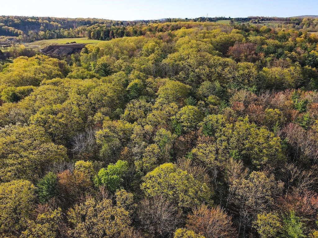 0 Hungerford Rd Ithaca, NY 14850  | Land/Lot