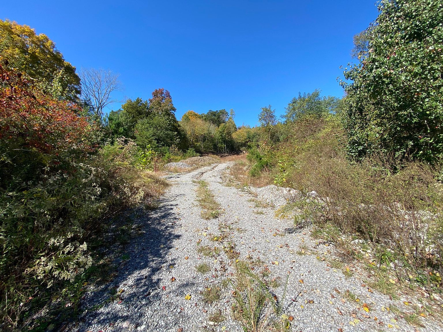 2015 Rehburg Way Knoxville, TN 37932 | Land/Lot