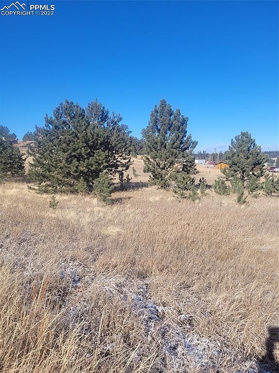 589 Maid Marian Dr Divide, CO 80814 | Land/Lot